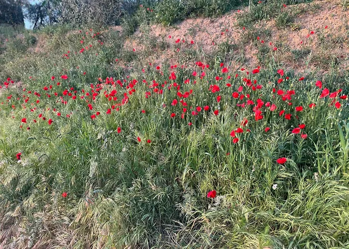 Antico Borgo